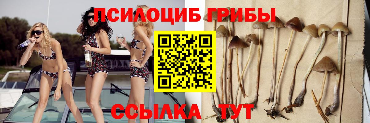 где найти наркотики  Галлюциногенные грибы Psilocybine cubensis  Вход с VPN  Лабинск 
